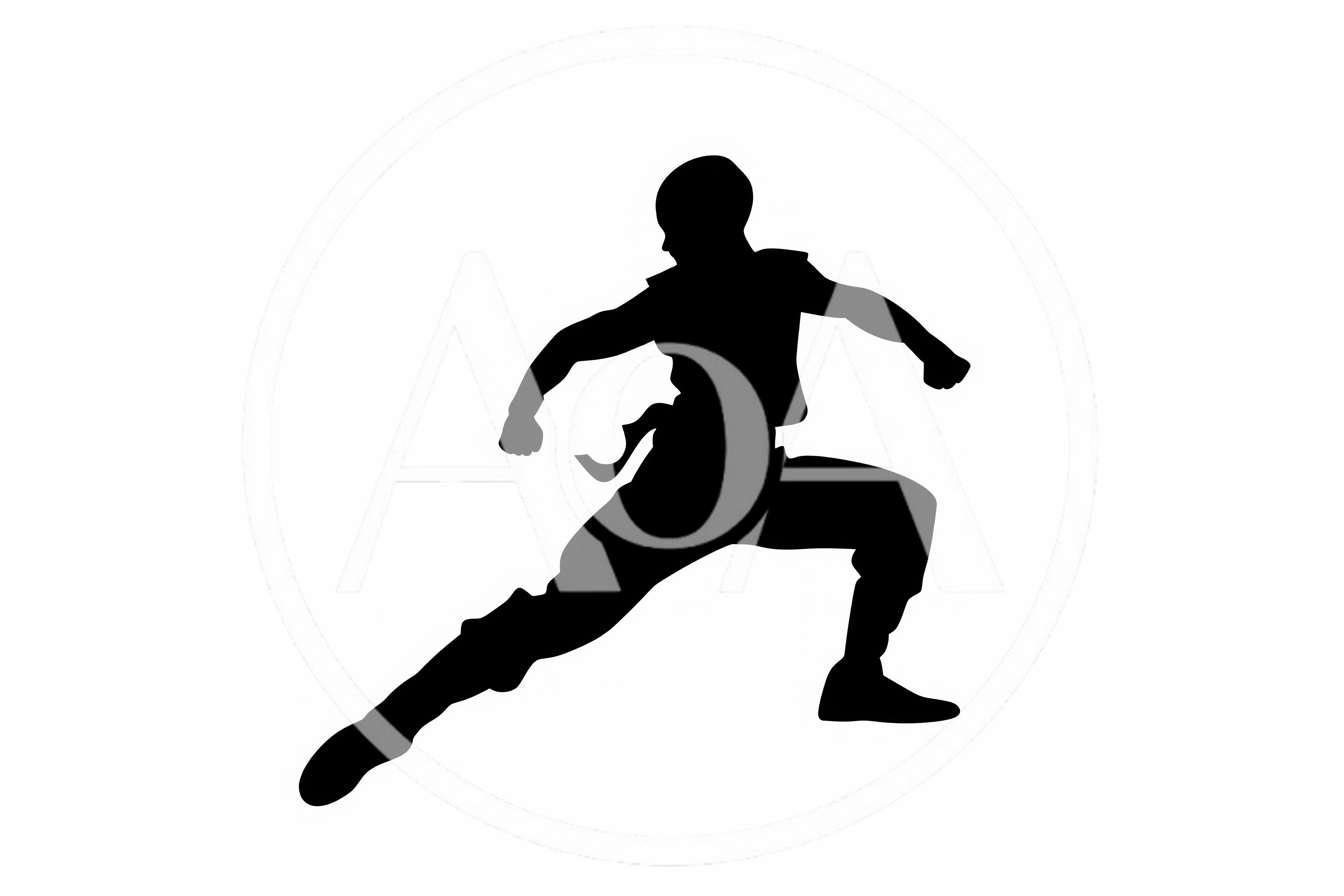 Silhouette Of A Martial Artist In A Fighting Stance