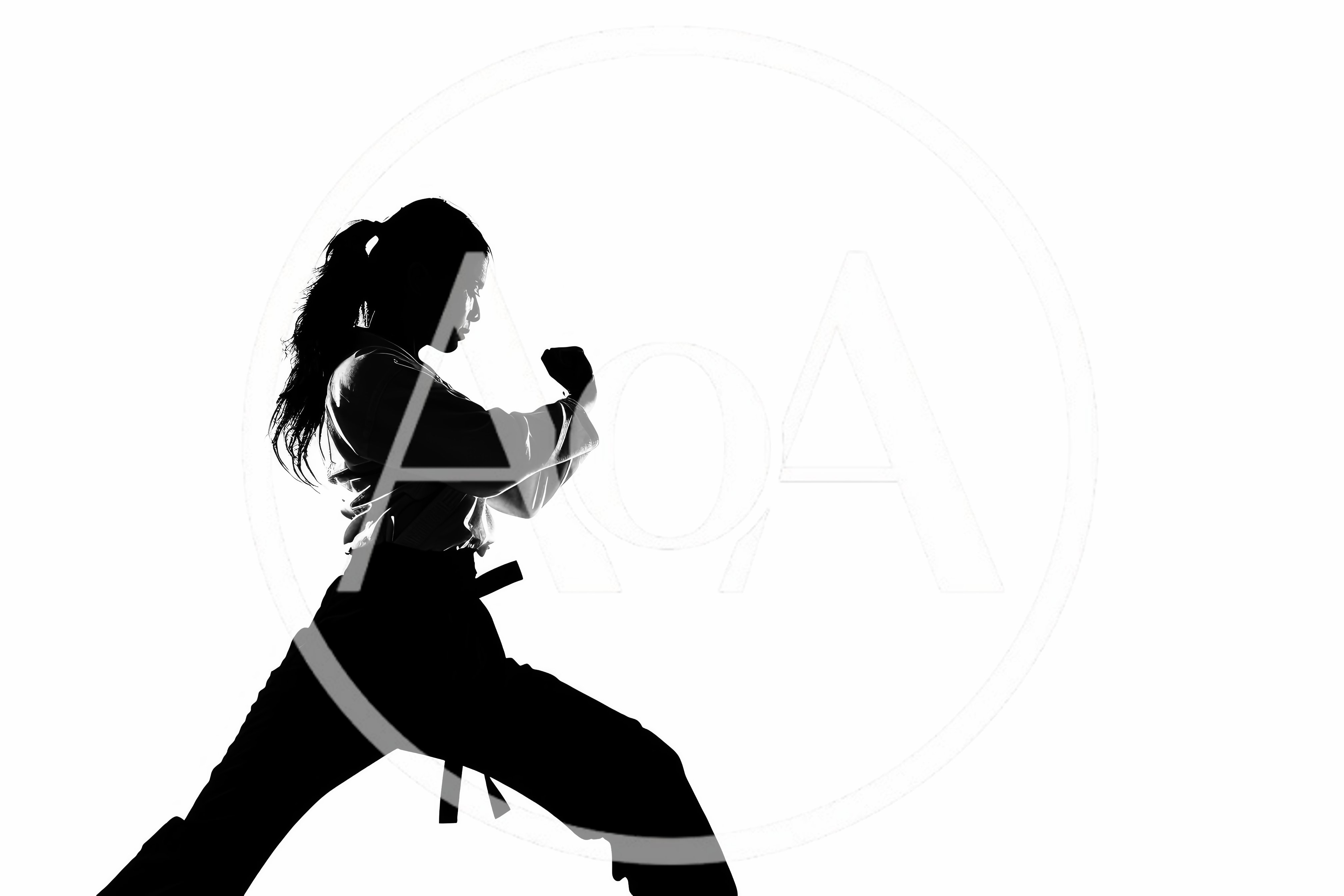 Silhouette Of A Female Martial Artist In Karate Stance