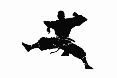 Black Silhouette Of A Martial Artist Performing A Kick