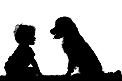 Silhouette Of A Toddler And A Dog