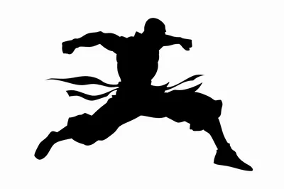 Silhouette Of A Martial Artist Performing A Dynamic Strike