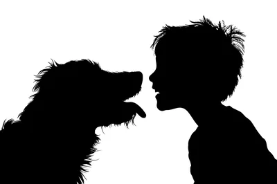 Silhouette of a Boy and His Dog