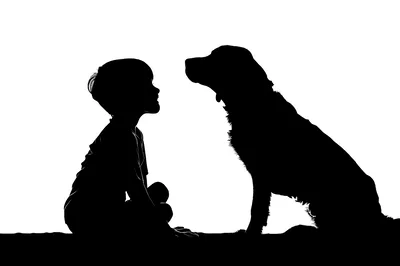Silhouette Of A Young Boy And His Dog