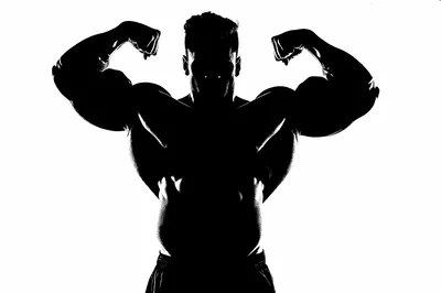 Muscular Bodybuilder Posing In High Contrast Silhouette