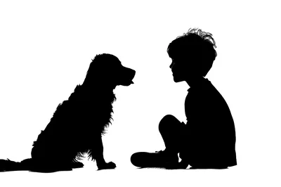 Silhouette Of A Young Boy Sitting With His Dog