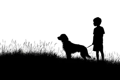 Silhouette Of A Young Boy Walking His Dog