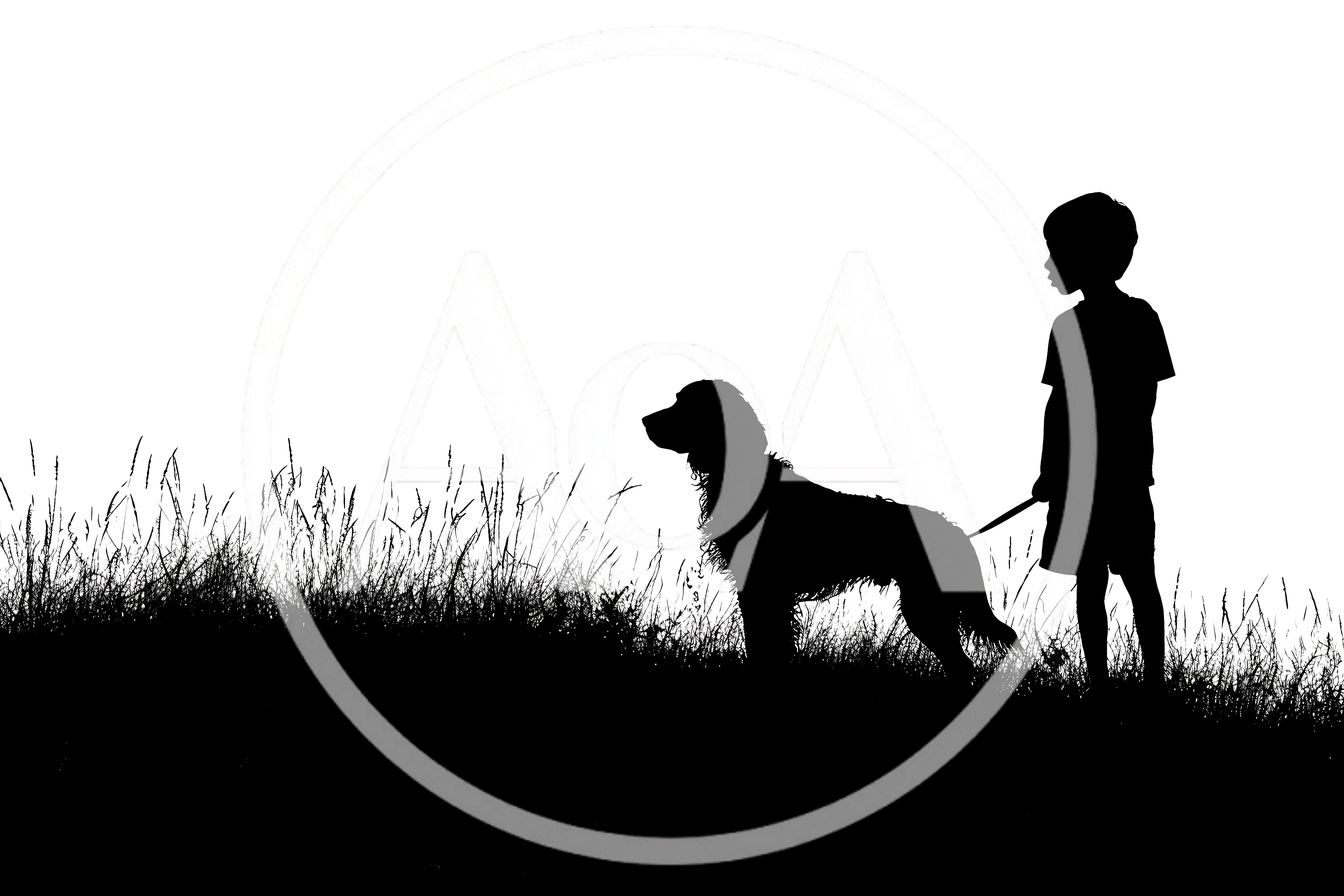 Silhouette Of A Young Boy Walking His Dog