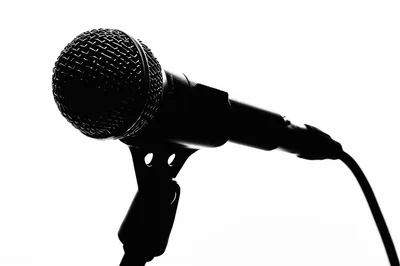 Silhouette Of A Professional Dynamic Microphone On Stand