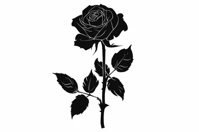 Black Silhouette Illustration Of A Single Rose