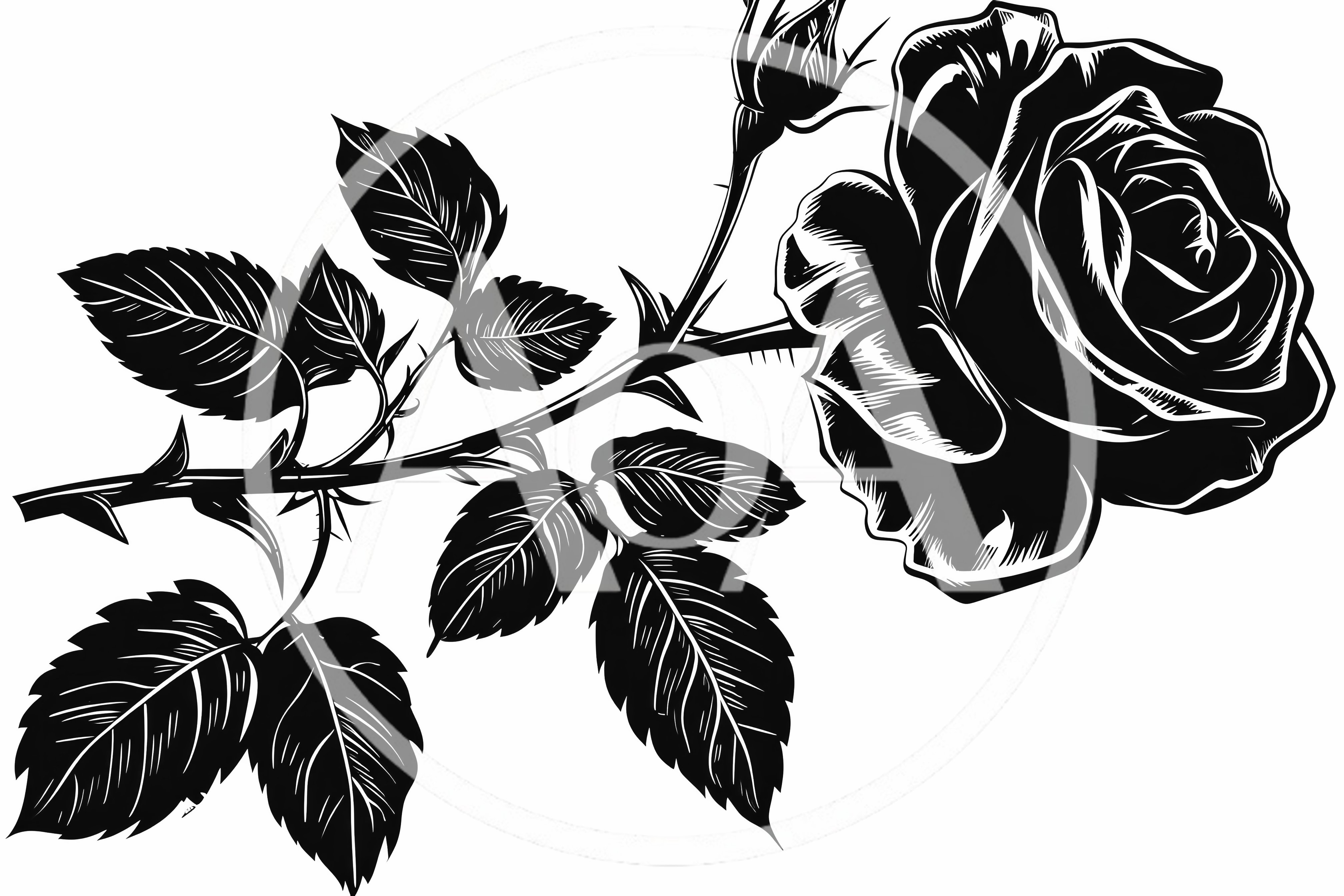 Black And White Rose Illustration