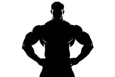 Silhouette Of A Muscular Bodybuilder Standing Confidently