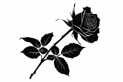 Black Silhouette Illustration Of A Single Rose