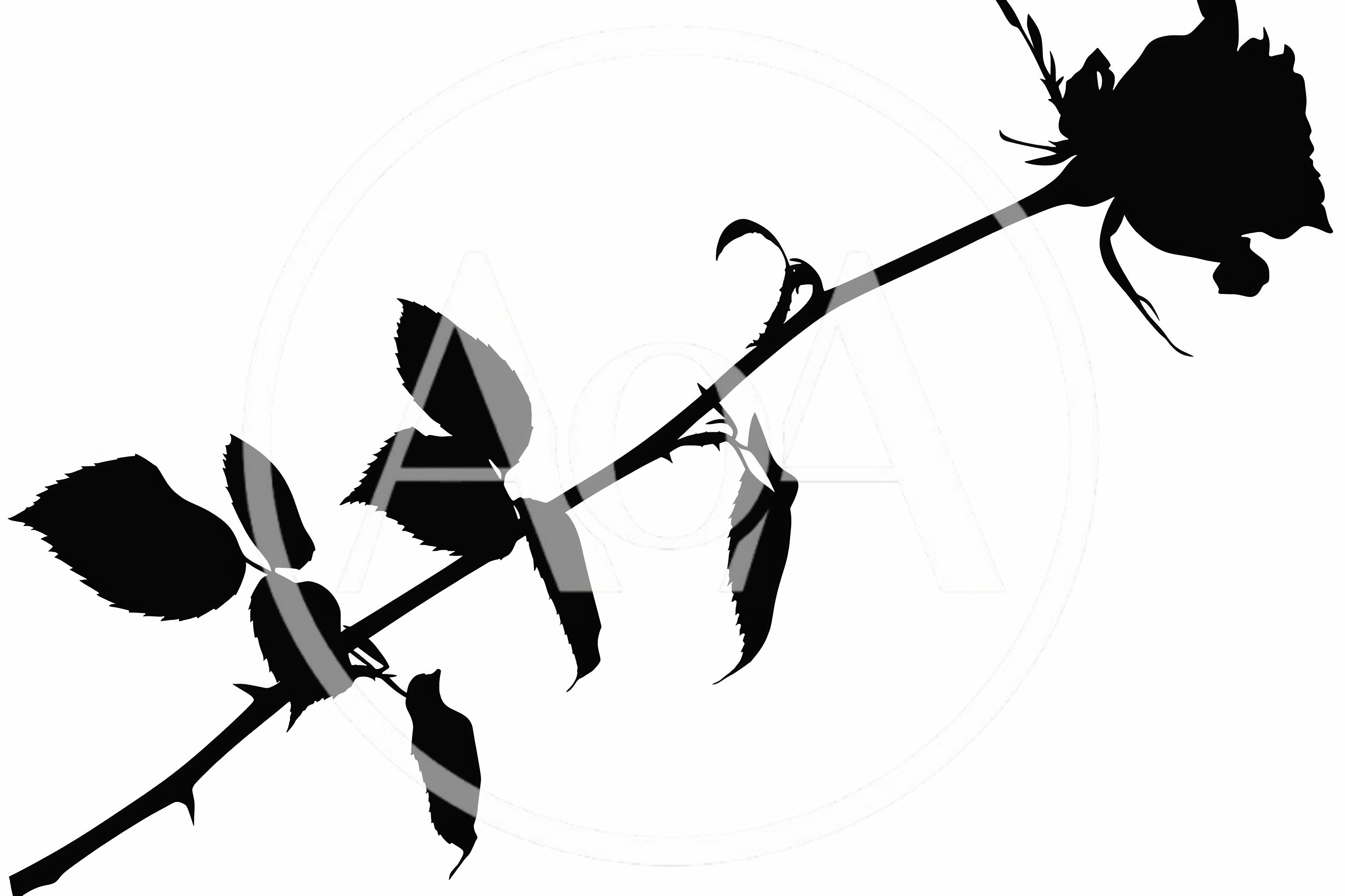 Black Silhouette Of A Single Rose Stem
