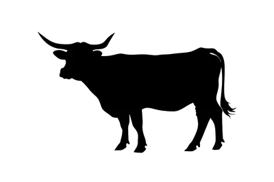 Black Silhouette Of A Horned Bull
