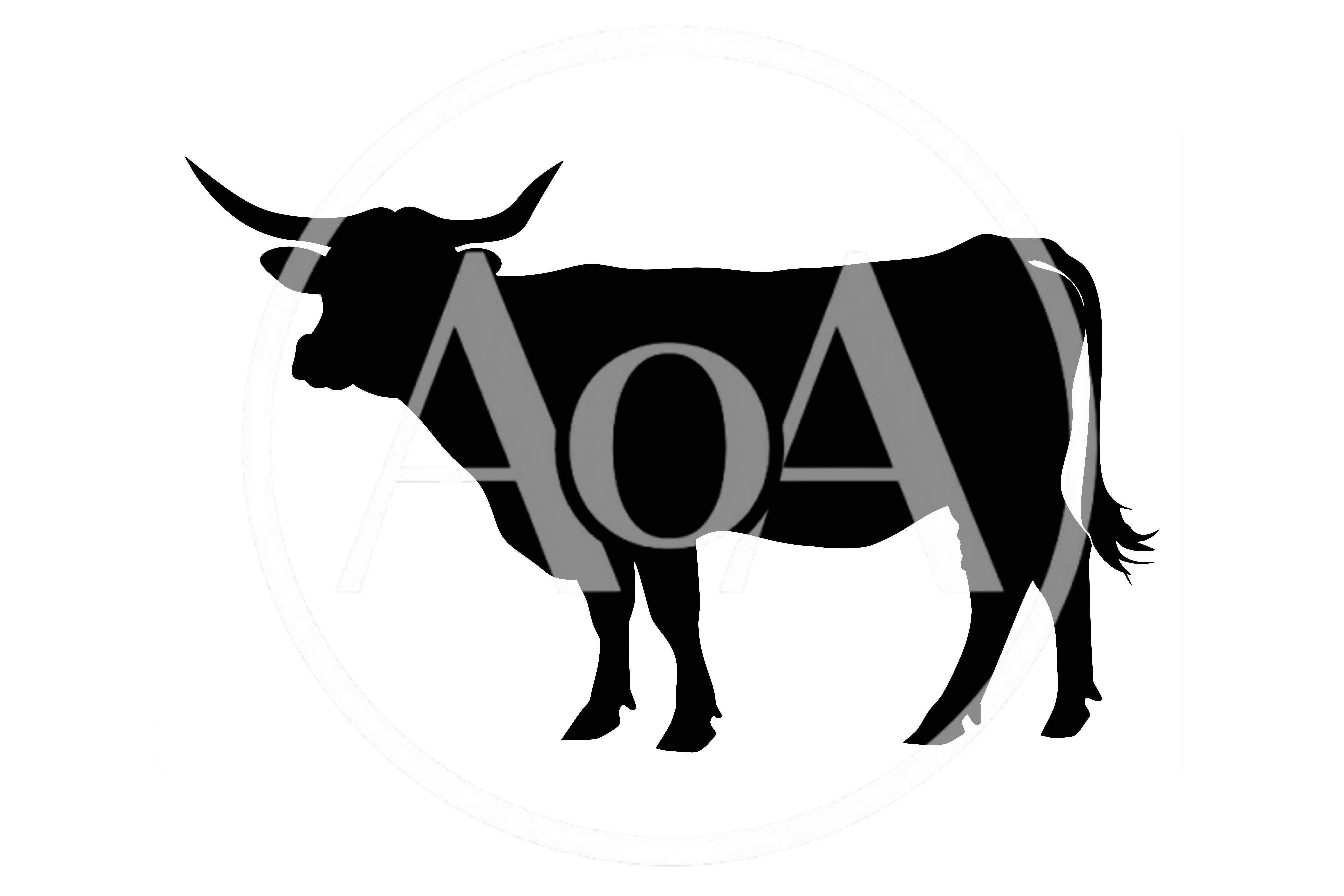 Black Silhouette Of A Horned Bull