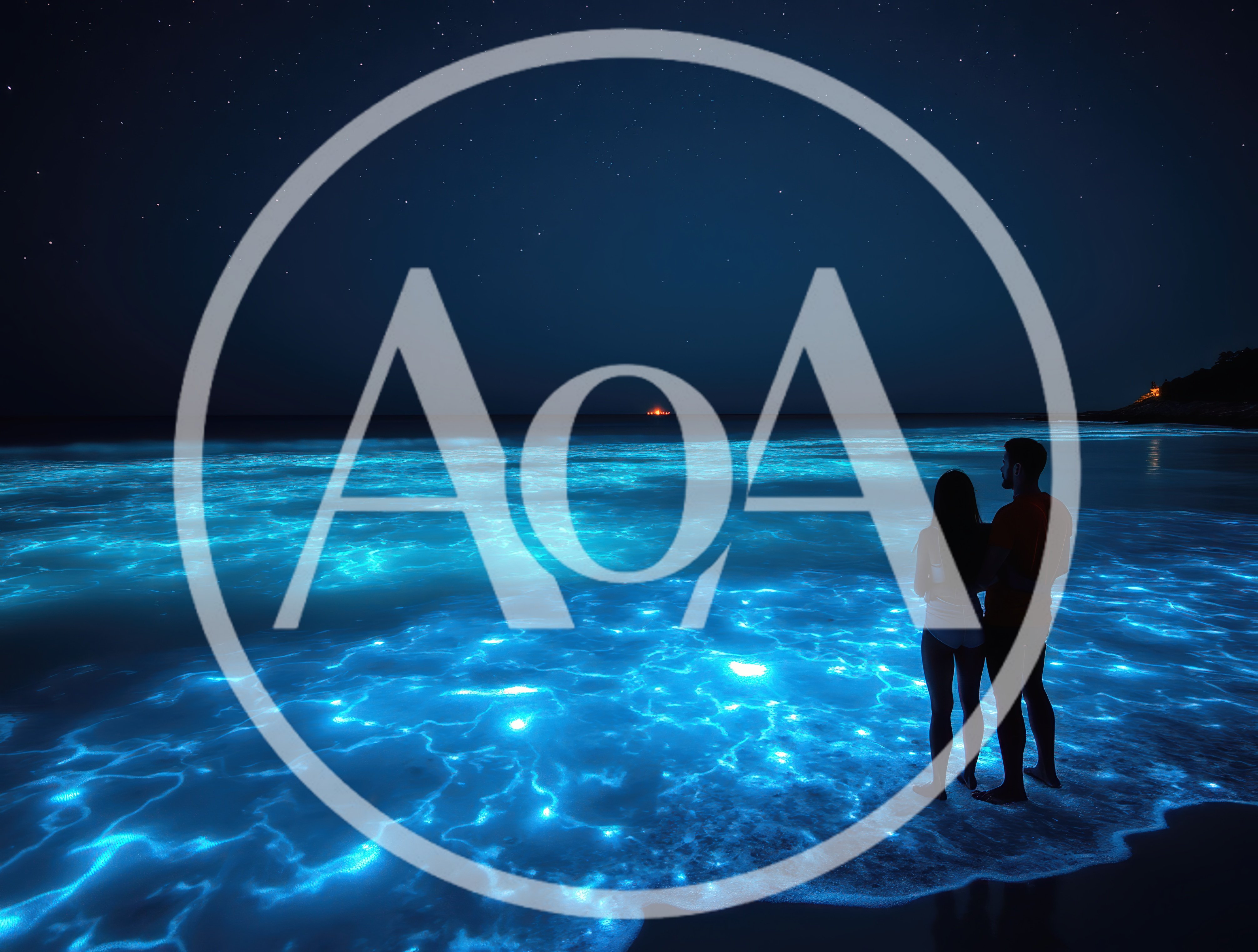 Couple Standing On Beach With Bioluminescent Waves At Night