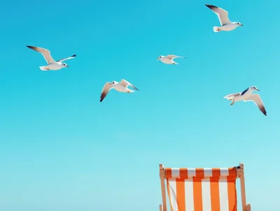 Seagulls Flying Over A Striped Beach Chair