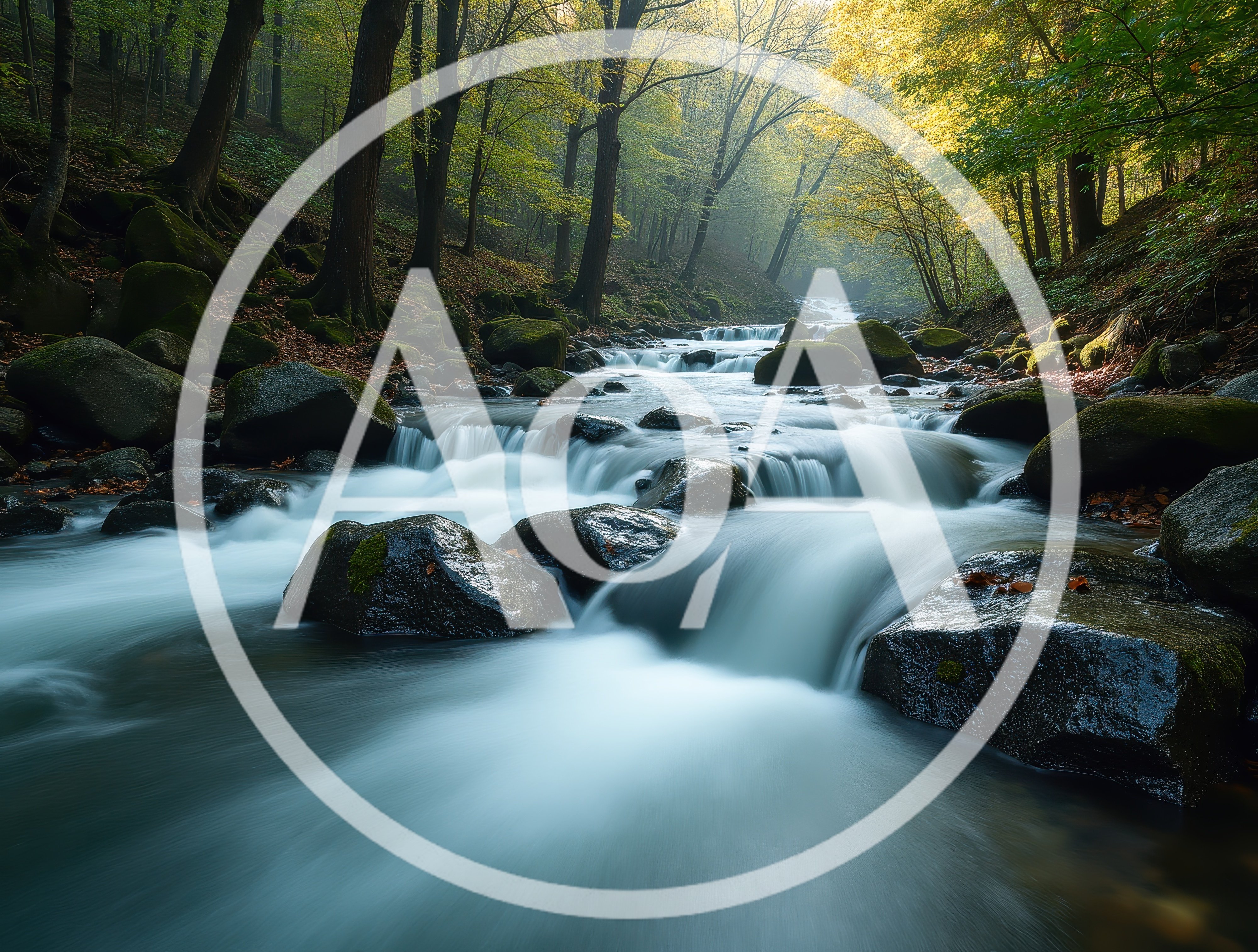 Long Exposure Stream Flowing Through A Mossy Forest