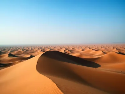 Vast Golden Sand Dunes In The Sahara Desert