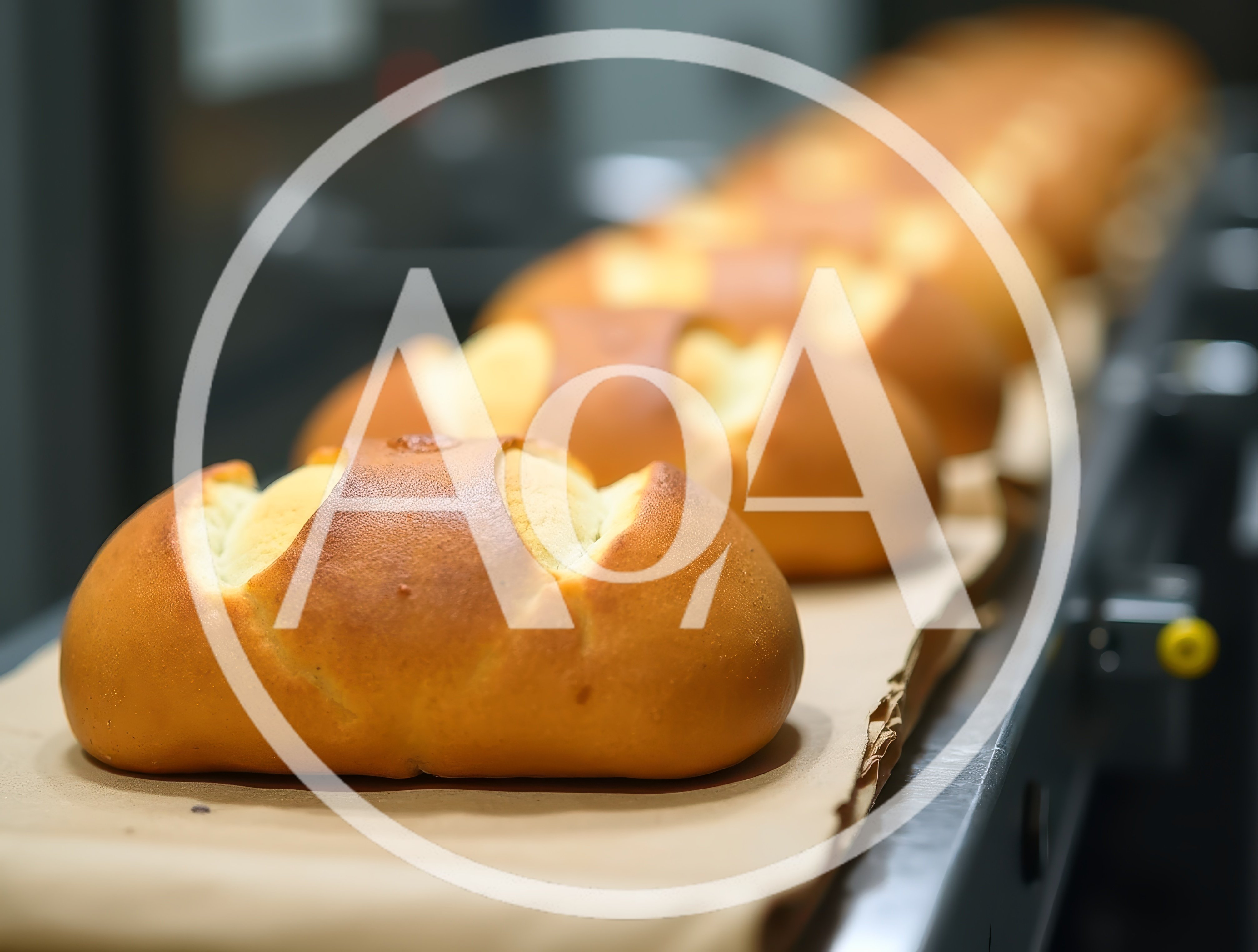 Freshly Baked Bread Loaves Moving Along Industrial Conveyor Belt