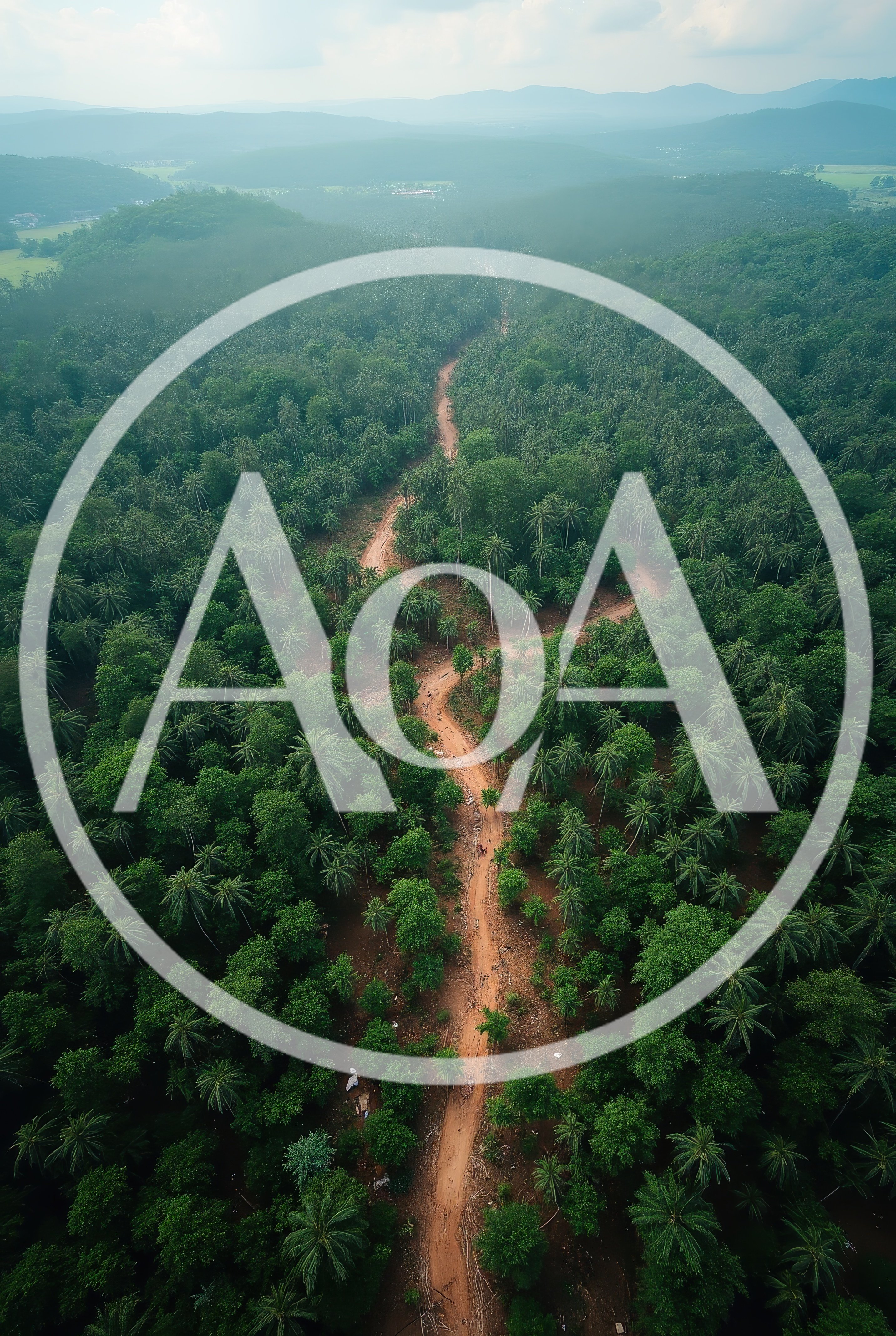 Aerial View Of A Dirt Path Through A Lush Forest