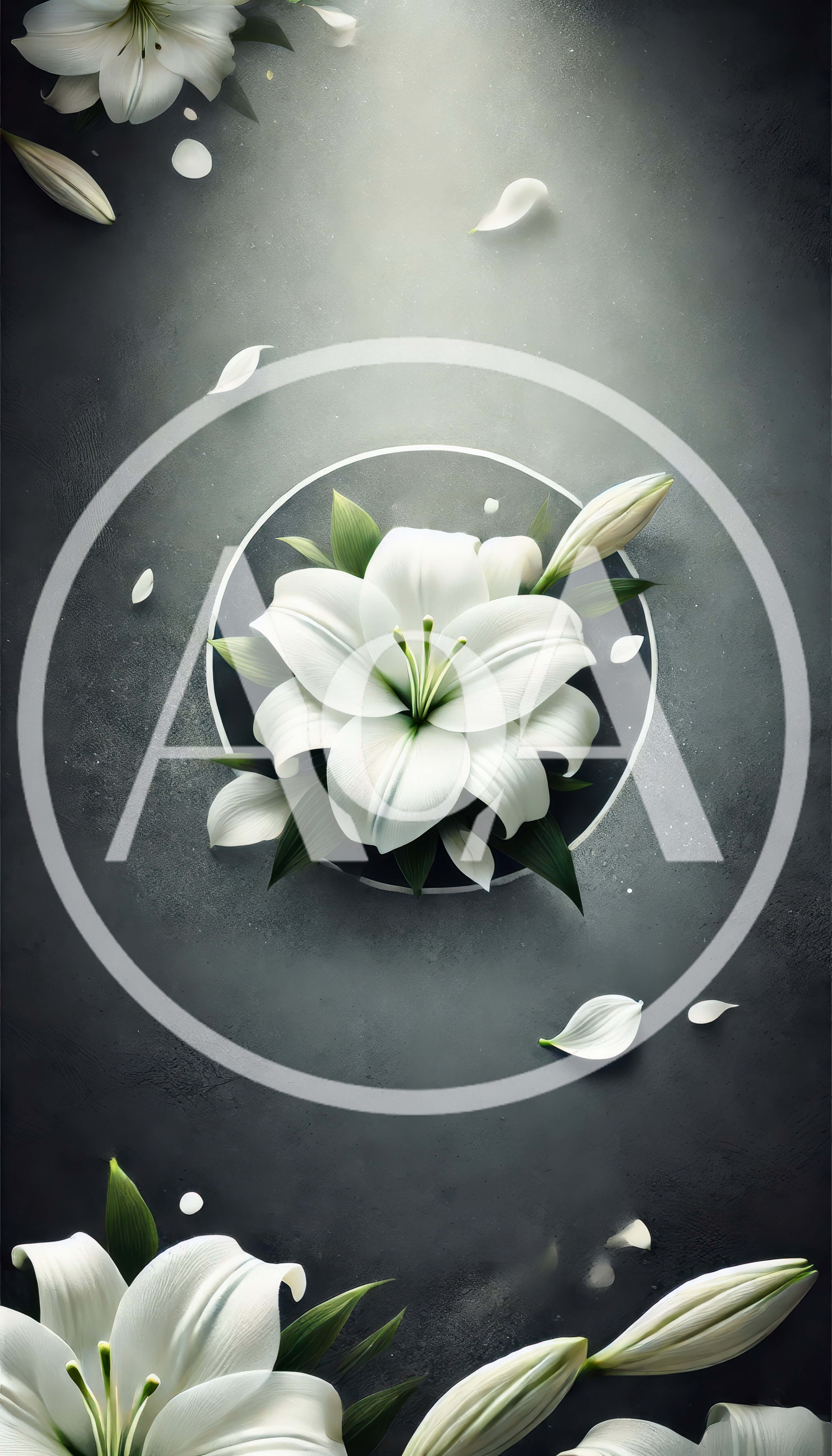 White Lily Flowers On Dark Textured Background