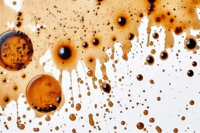 Dark Coffee Splatters and Drips on White Background