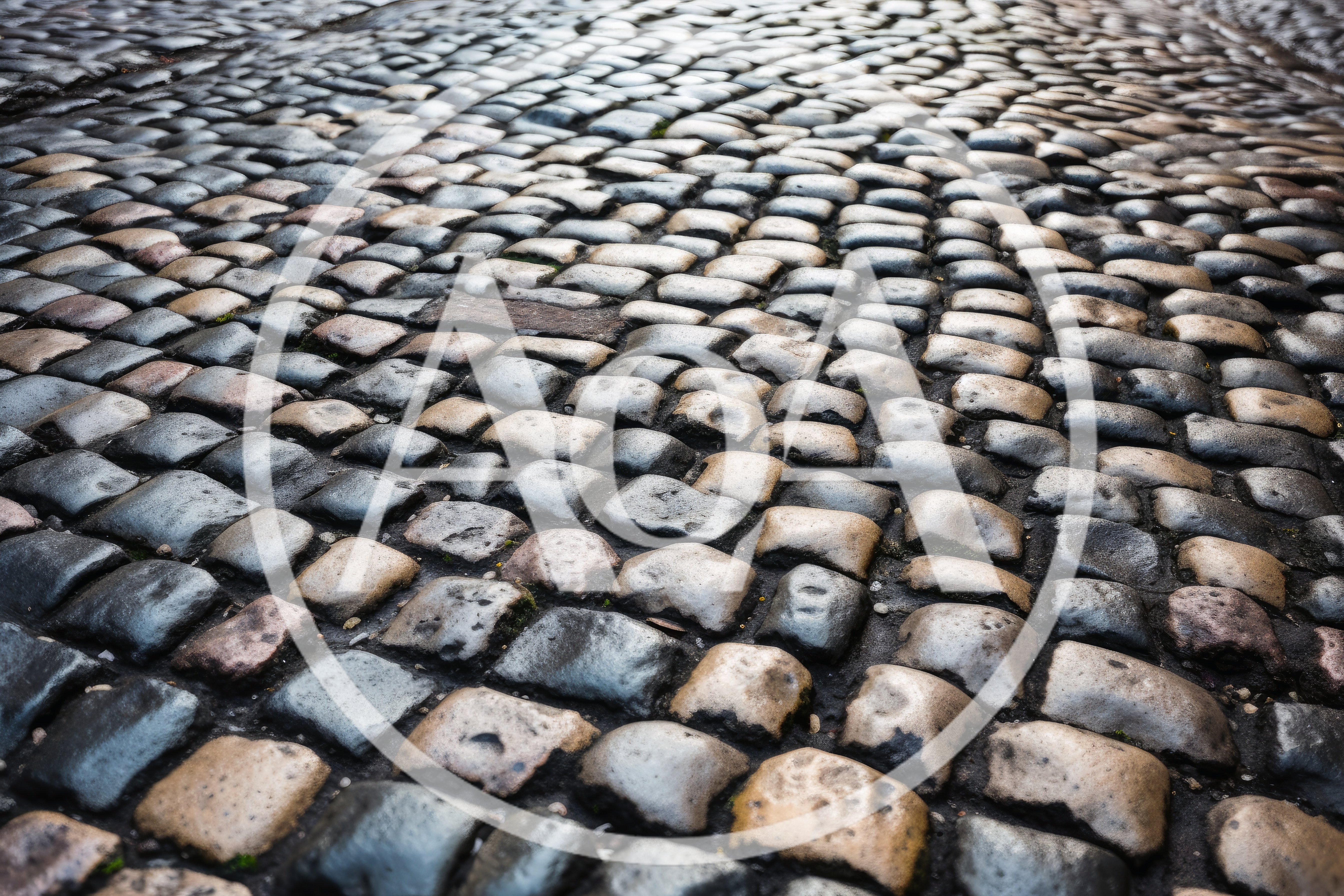 Close Up Of Wet Cobblestone Street