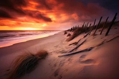 Dramatic Sunset Over Sandy Beach With Driftwood And Dunes