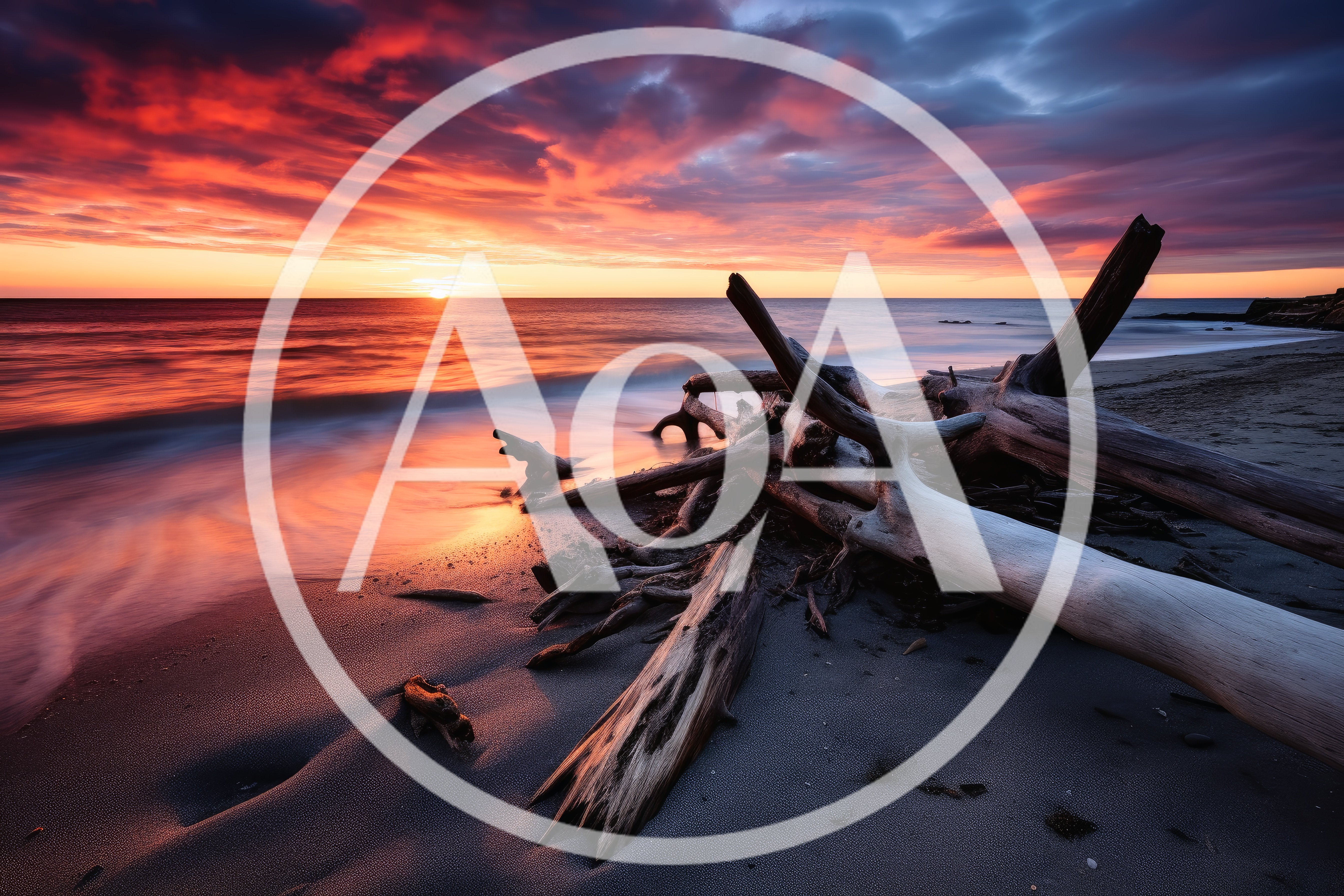 Driftwood Logs On A Sandy Beach At Sunset