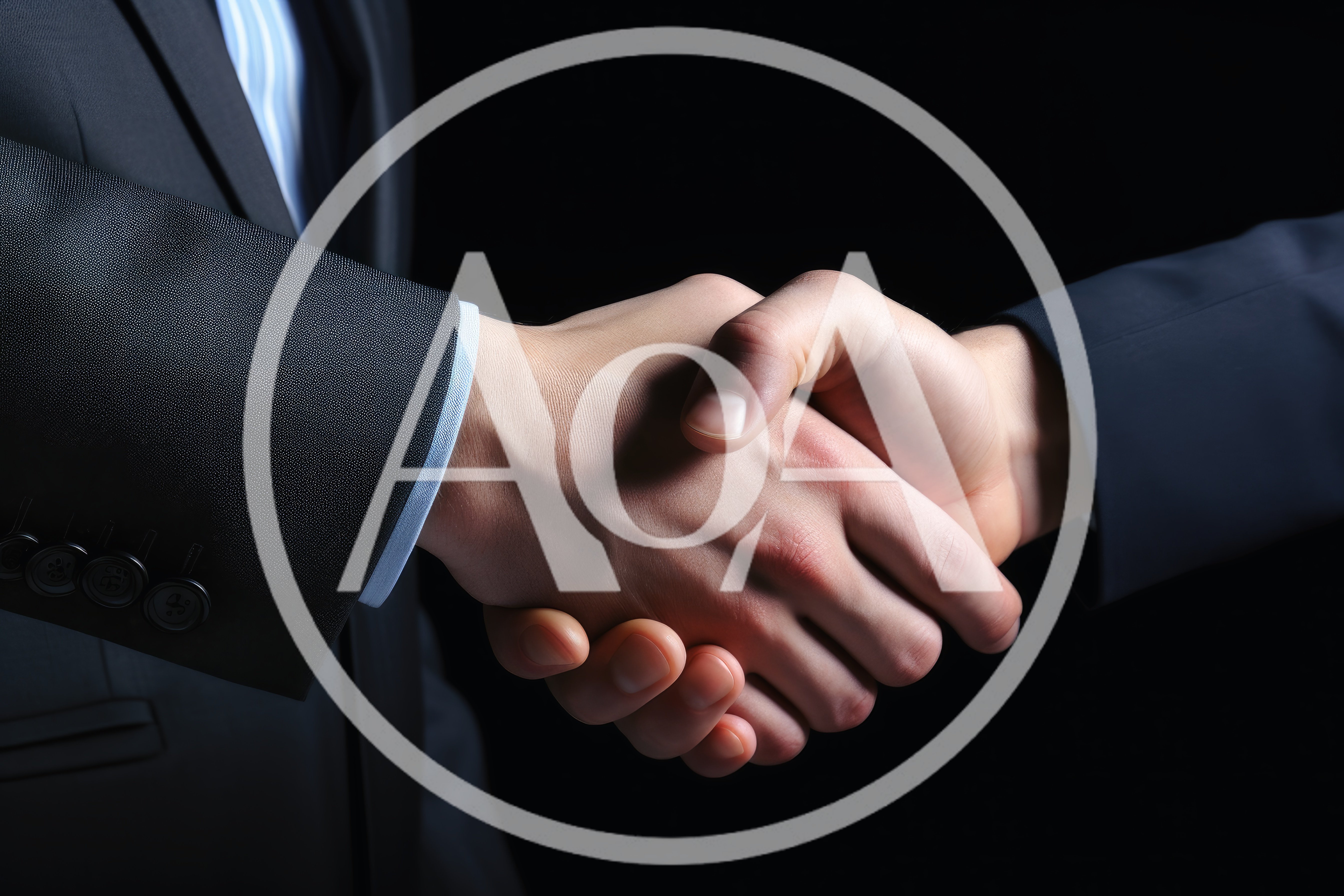 Professional Business Handshake Between Two Men
