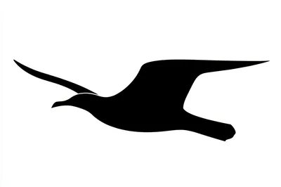 Minimalist Black Silhouette Of A Flying Seagull