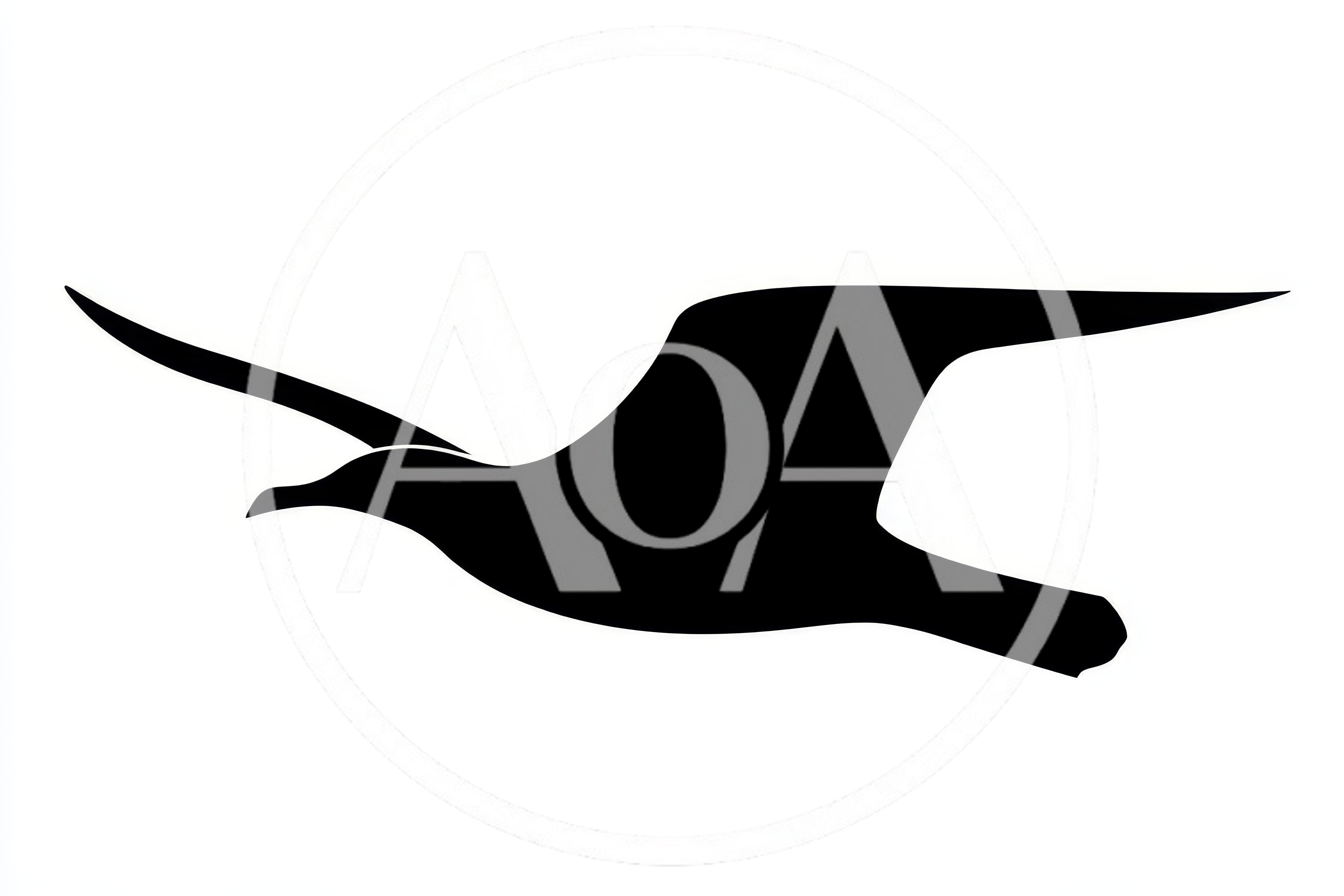 Minimalist Black Silhouette Of A Flying Seagull