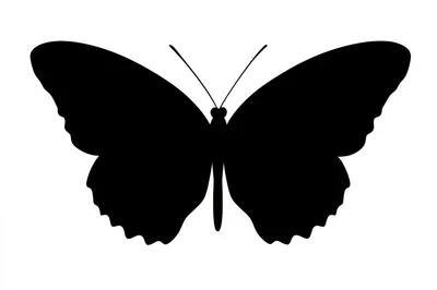 Black Butterfly Silhouette Isolated On White Background