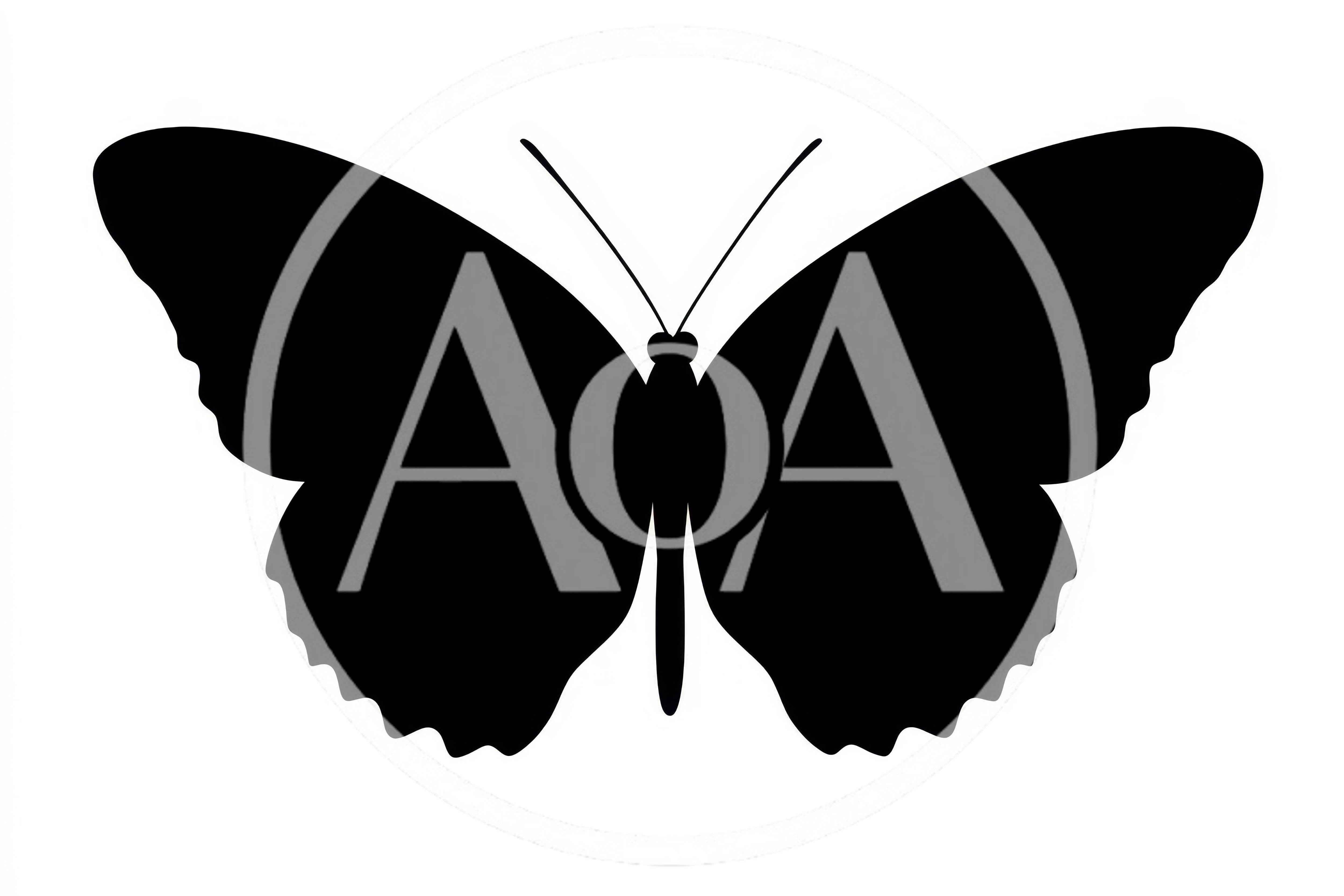 Black Butterfly Silhouette Isolated On White Background