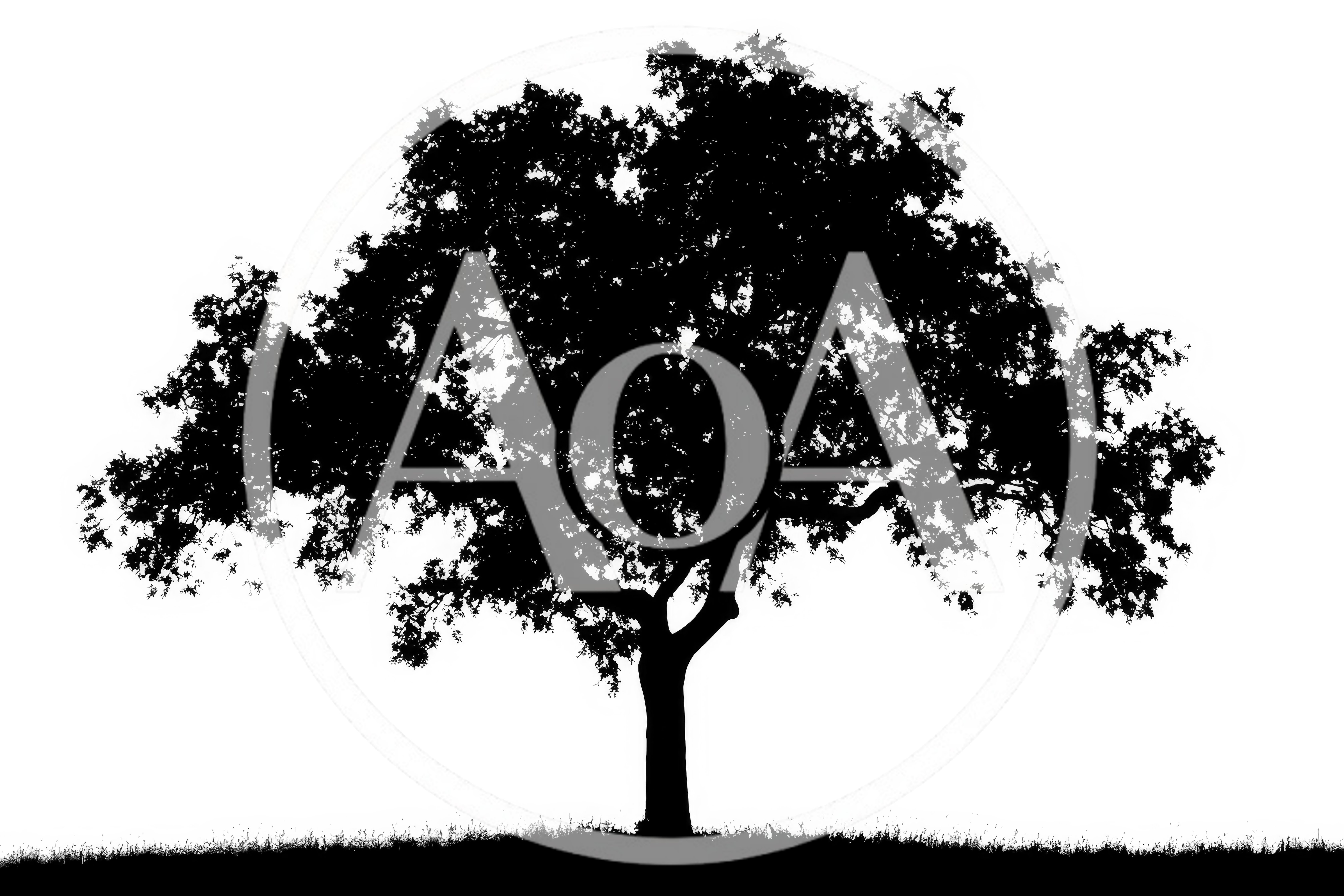 Silhouette Of A Large Deciduous Tree