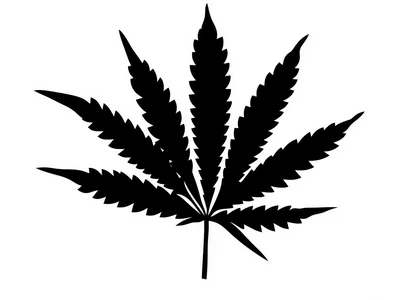 Black Silhouette Of A Cannabis Leaf
