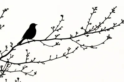Silhouette Of A Small Bird Perched On A Branch