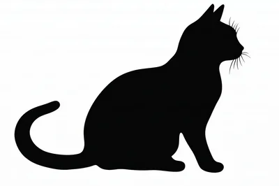 Black Cat Silhouette Sitting In Profile