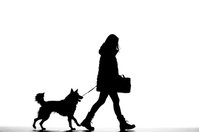 Silhouette Of A Woman Walking Her Dog