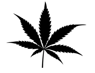 Black Silhouette Of A Cannabis Leaf On White Background