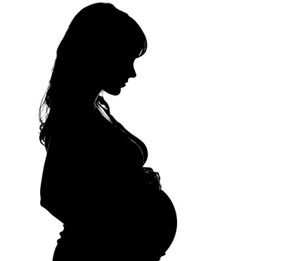 Silhouette Of A Pregnant Woman In Profile