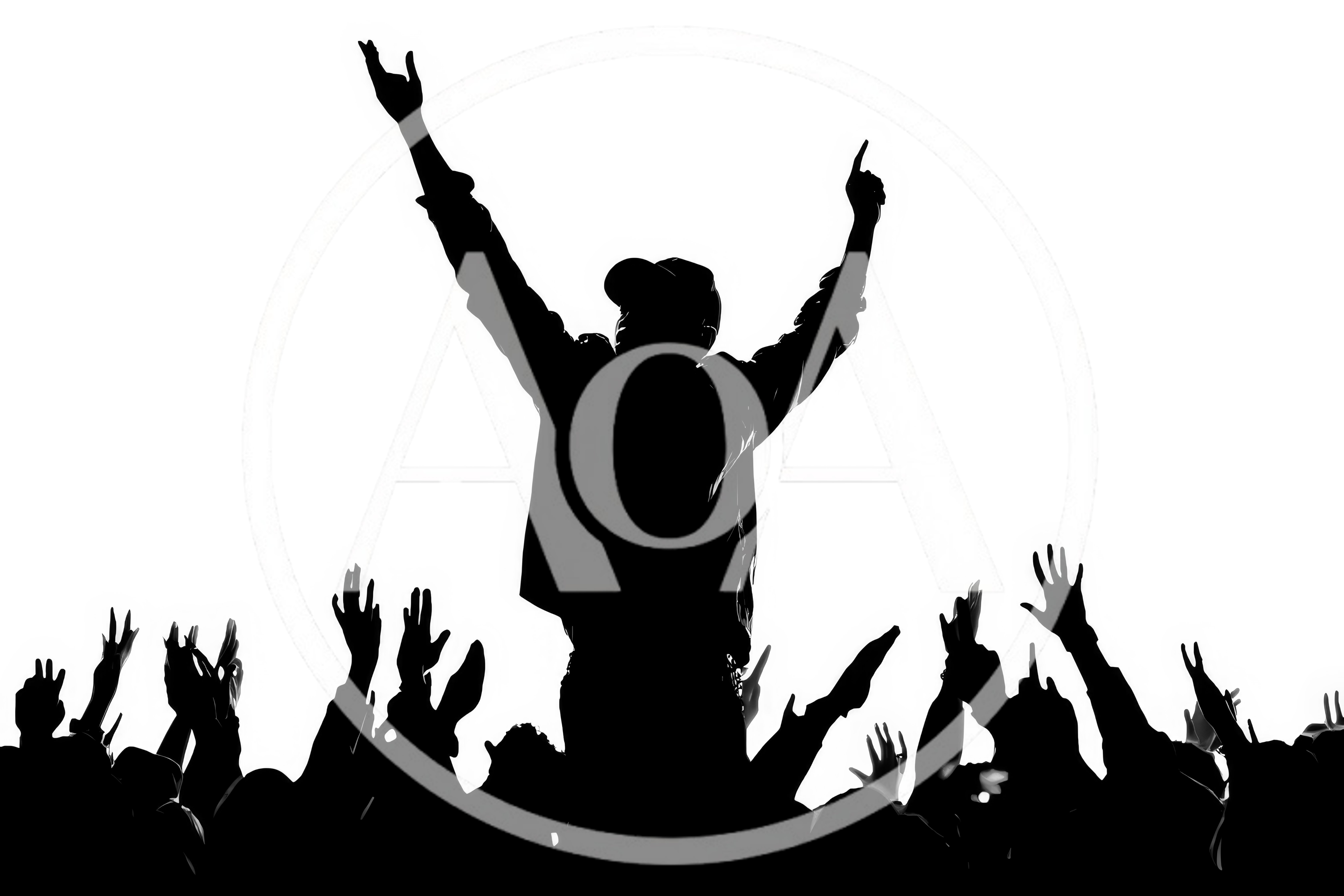 Silhouette Of A Performer On Stage With Crowd