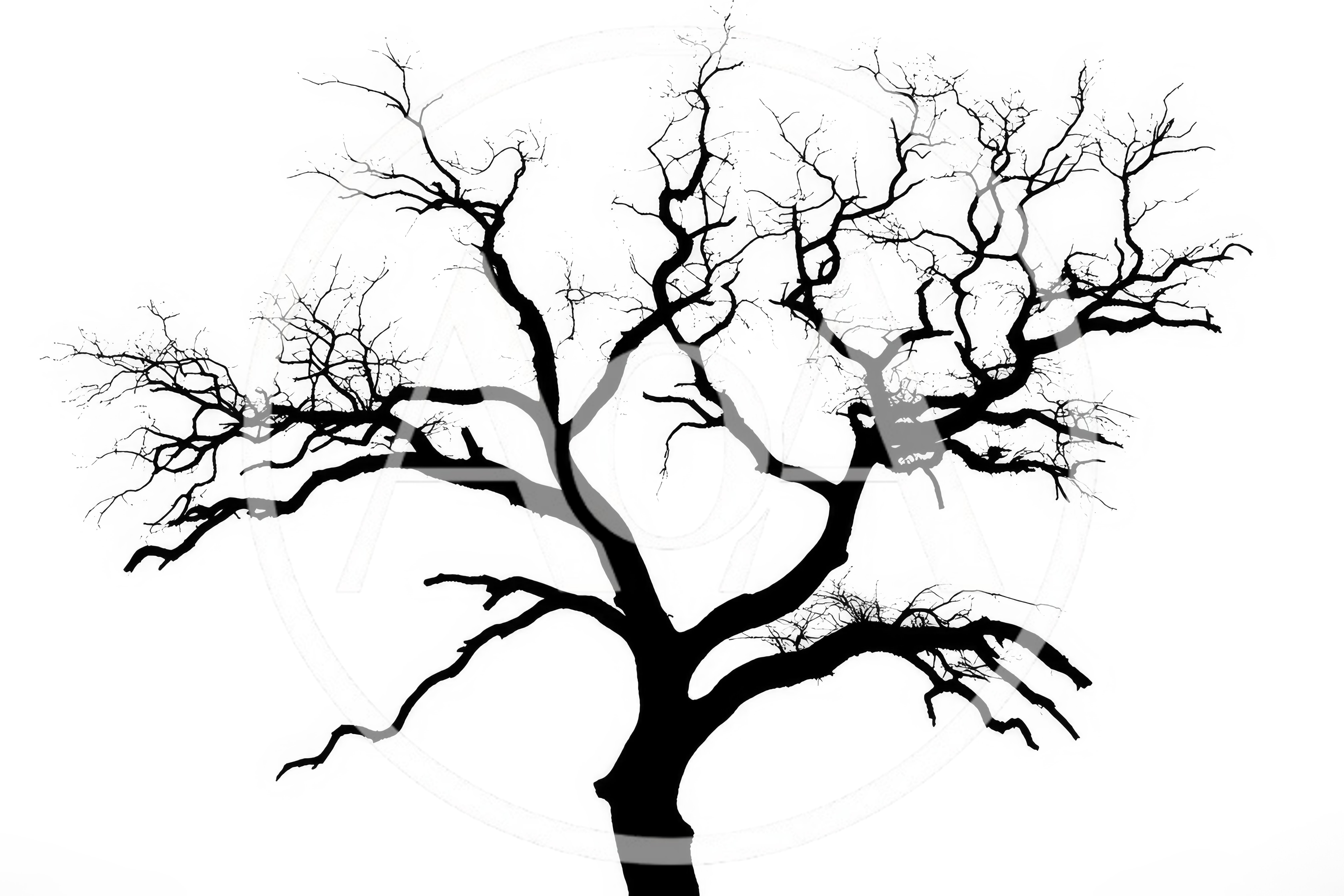 Silhouette Of A Bare Tree Against White Background