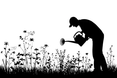 Silhouette Of A Gardener Watering Wildflowers