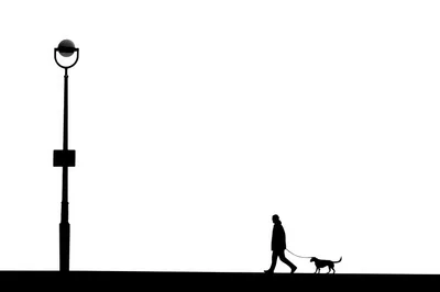 Silhouette Of A Person Walking A Dog