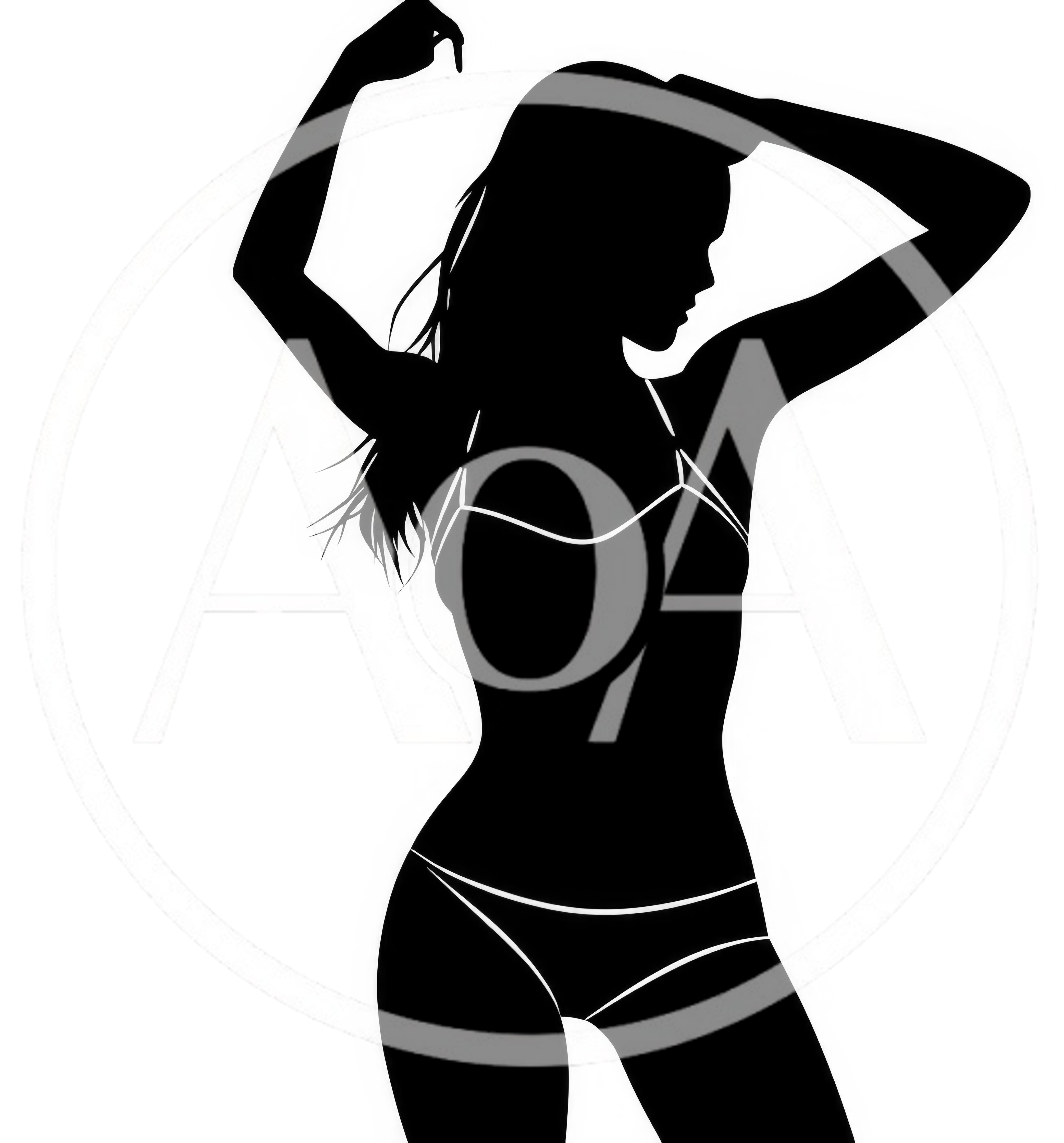 Silhouette Of A Woman Posing In A Bikini
