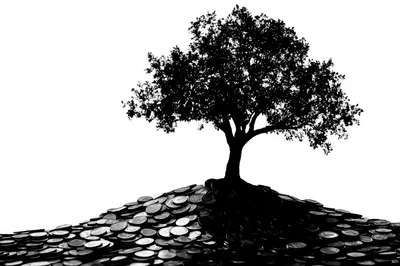 Silhouette Of A Tree Growing From A Pile Of Coins