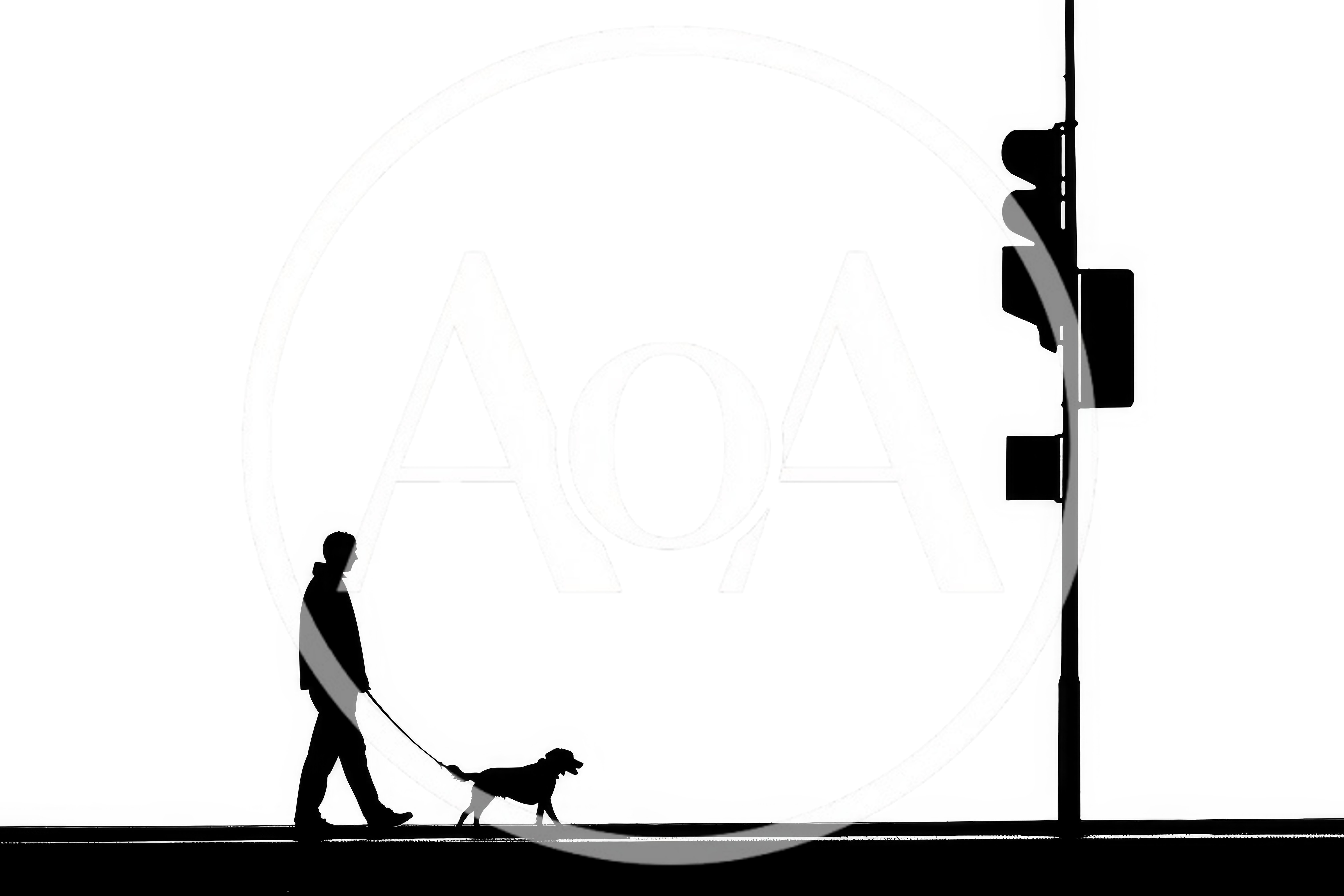 Silhouette Of A Man Walking His Dog
