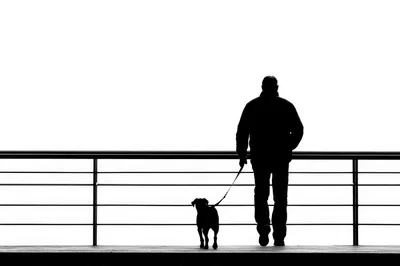 Silhouette Of A Man Walking His Dog On Deck